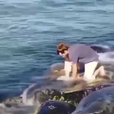 A good-natured passerby helped the turtle get out of the stone trap.