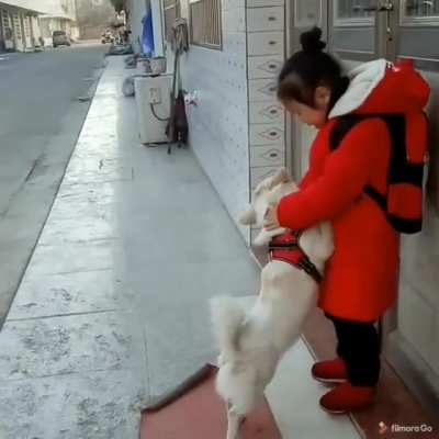 Little red riding hood