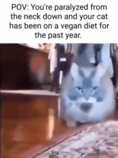 Jesus Christ