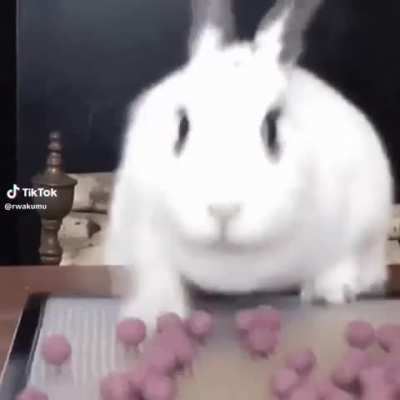 Todo troncho