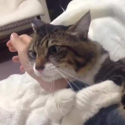 dis mine