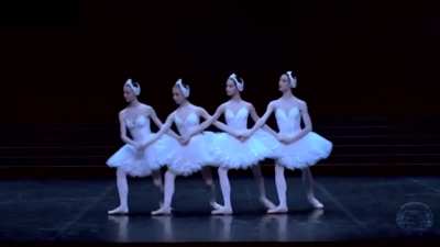 Swan Lake reimagined