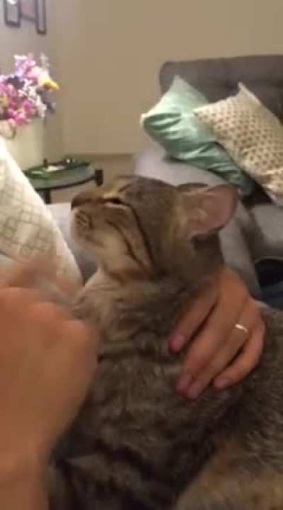 💗