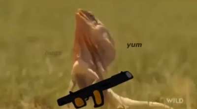 War Lizard