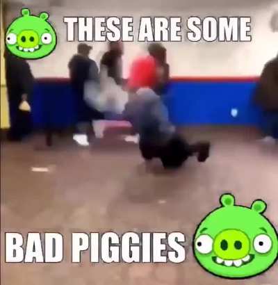 BAD PIGGIES ALERT BEWARE OF ARMED TERRORISTS