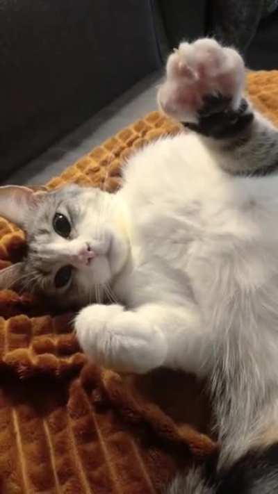 Juliet says hi