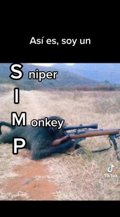 Sniper monkey