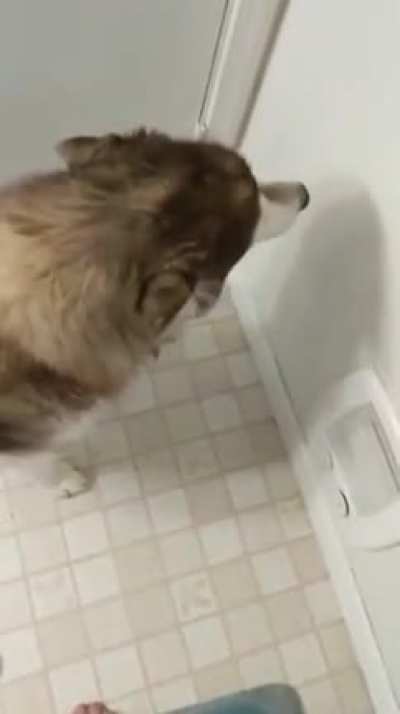 Better turn up that volume for this microbork