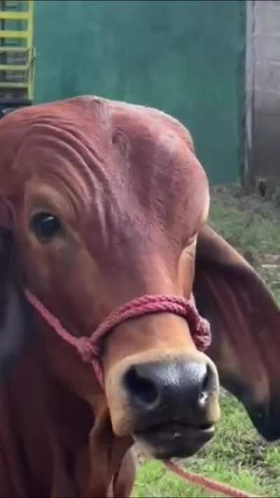🤨