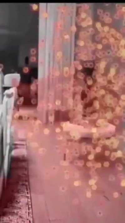 Who the fuck