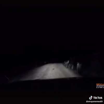 Just a normal Australian night