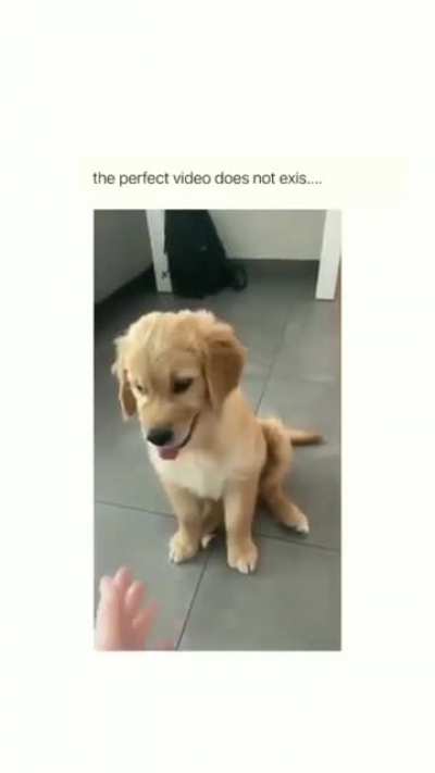 🥺