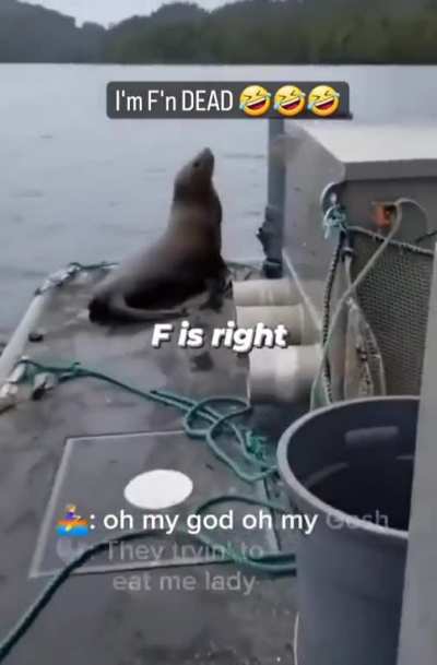 Maybe maybe maybe
