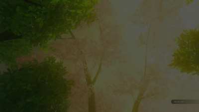 After 4 years, Master Sword stealing with a single piece of wood has been found.