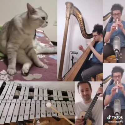 Beautiful Melody