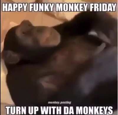 Turn up guys❗️the deluxe will drop soon don’t worry 🧘‍♂️🔥 it’s funky monkey Friday🐒