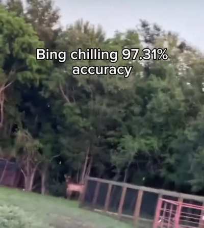 kek or cring