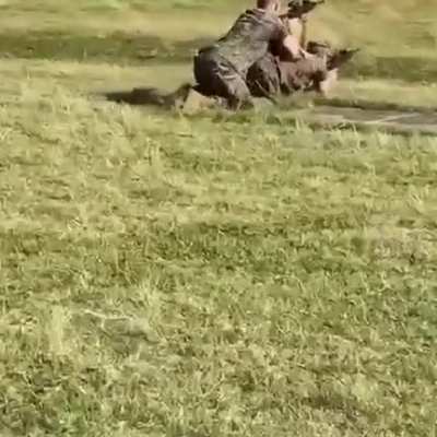 Typical marines