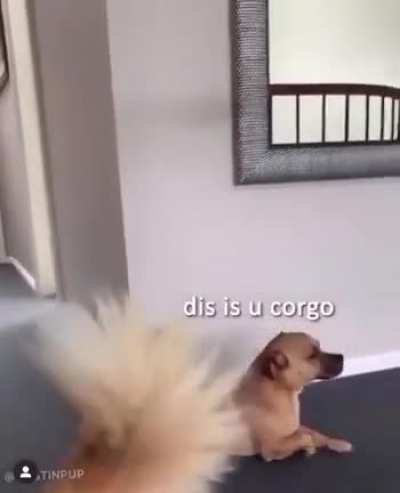 MISTER STUMPY LEGS