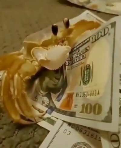 ME MONEY!!!!
