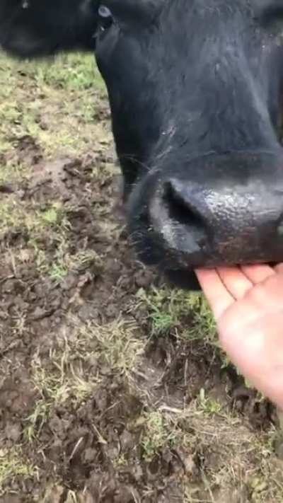 Mother’s day at the farm