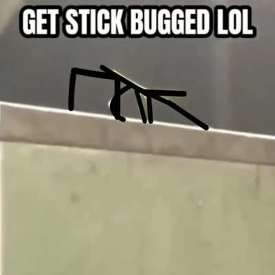 get stick bugged lol