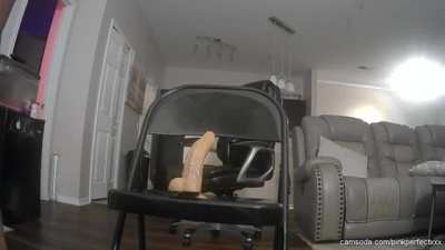 u_ttr603 - Video #4795