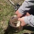 A fish is choking on a fish which in turn is choking on another fish