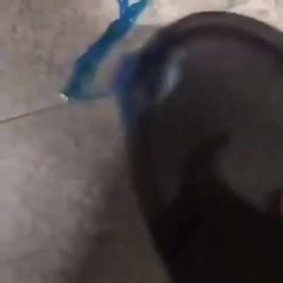 why