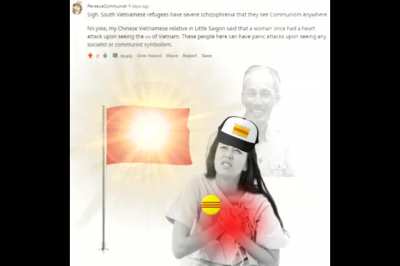 The glorious banner emits an aura too powerful for gusanos to withstand 🇻🇳