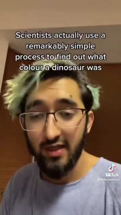 The colour of dinosaurs