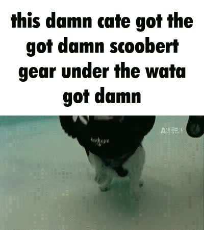 Goat dam khat