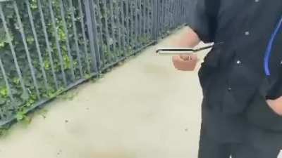 this sub is so sad i have to upload one of my oldest clips here