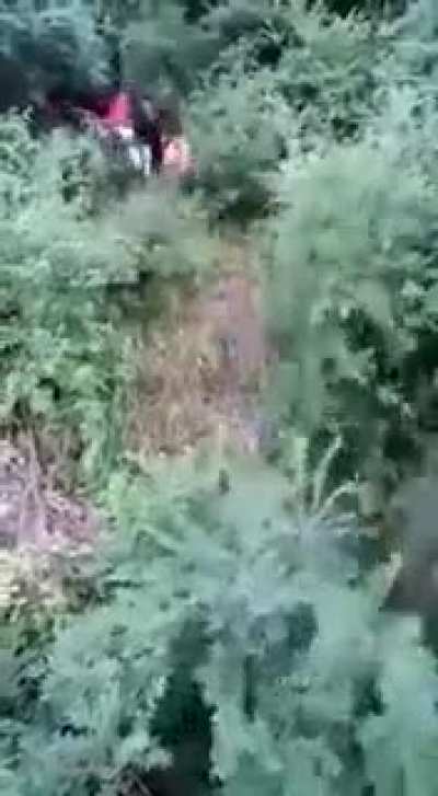What the hell are they running from