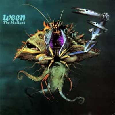 ocen men