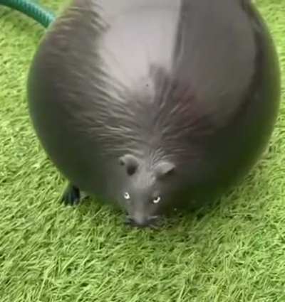 gushing_irl