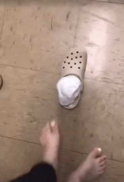 blursed_experiment