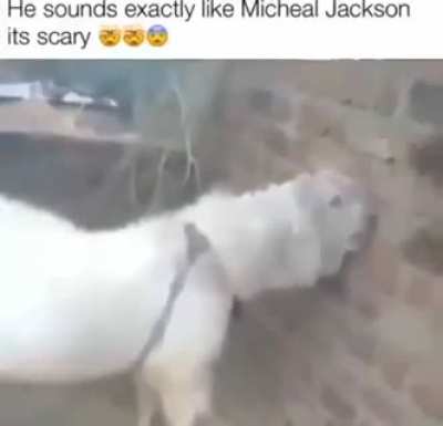 ‎