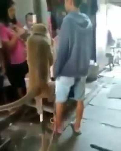 Macaco