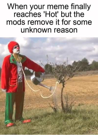 Thank you, very cool