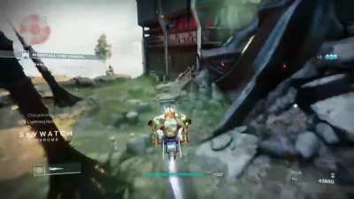 Sparrow Dodging 101