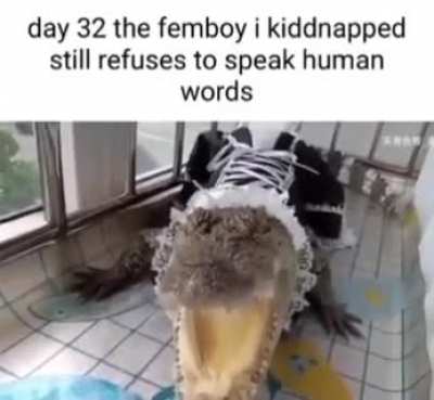 clamboy