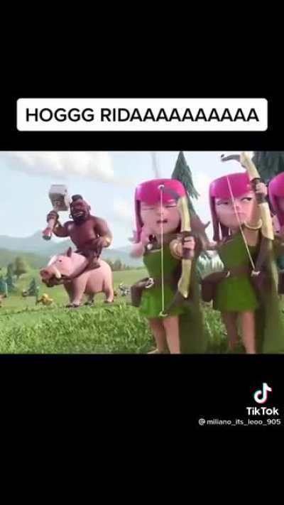 HOG RIDAAAA