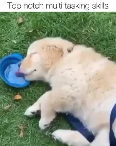 Drink.exe