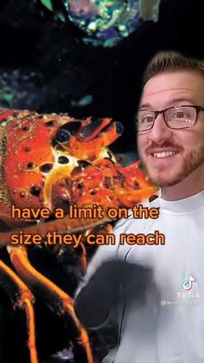 Holy Order of the Claw
