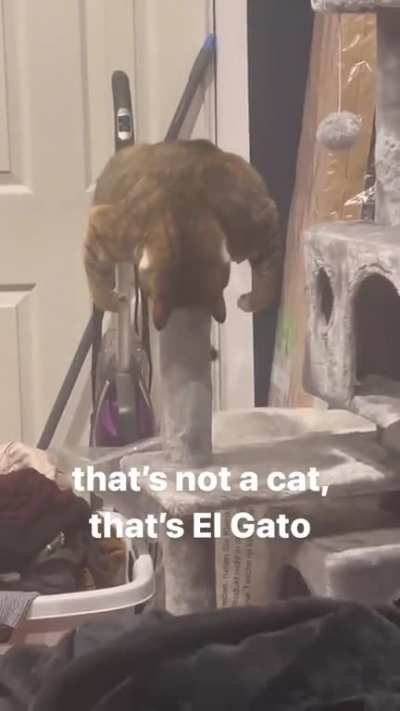 💪😾