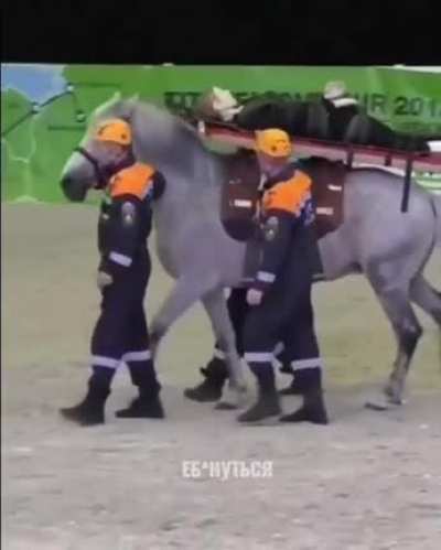Horse Ambulance