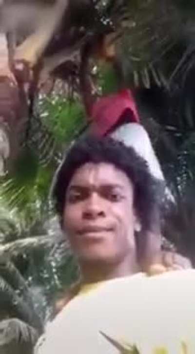 Tuc (não sei se é repost)
