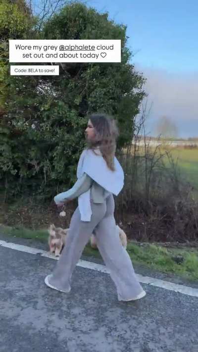 Dog walks