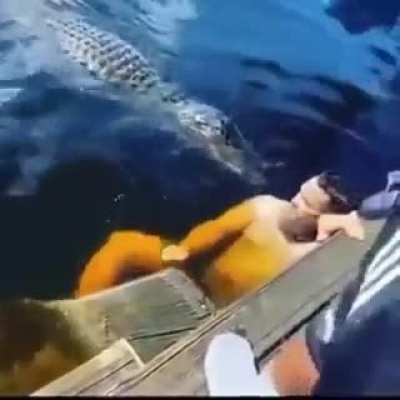Swim with crocodiles